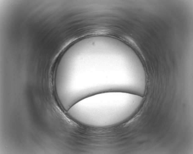 X0000066080835200603100935