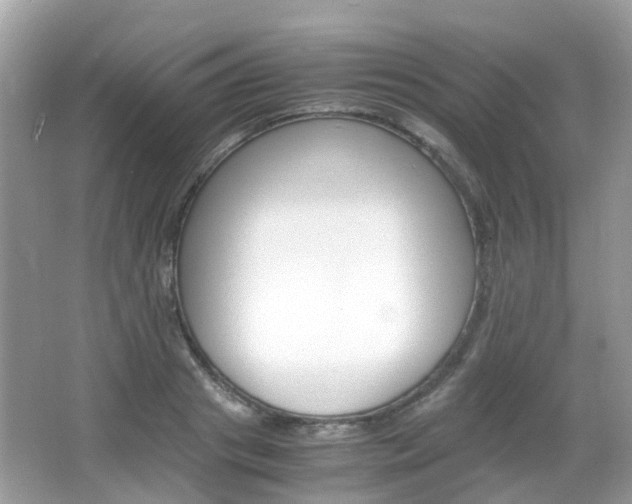 X0000066080841200603100935