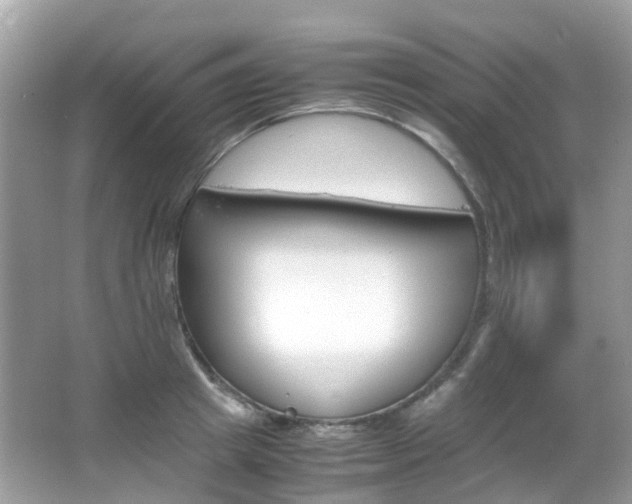 X0000066080849200603100935