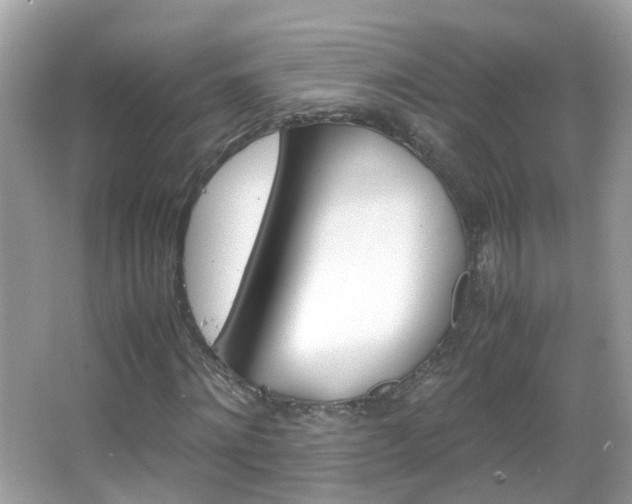 X0000066080868200603100935