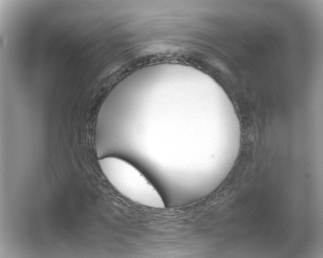 X0000066080869200603100935