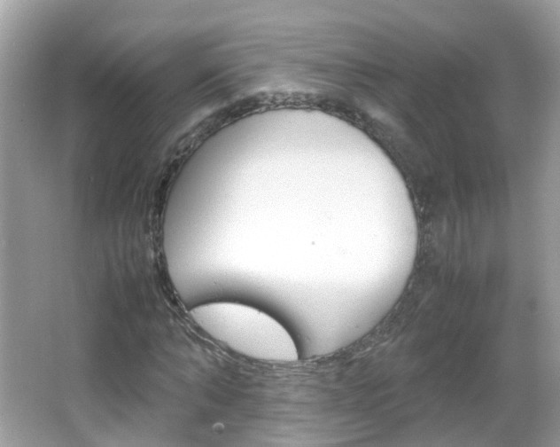 X0000066080870200603100935