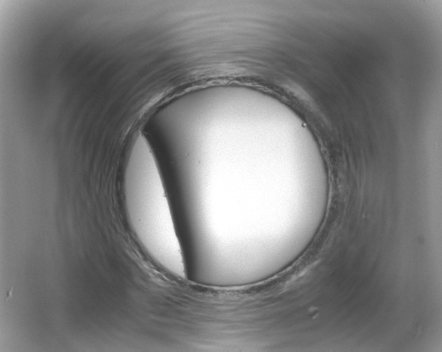 X0000066080873200603100935
