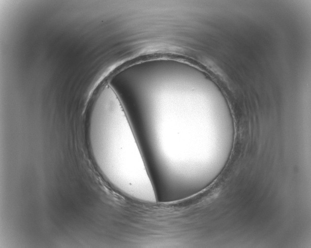 X0000066080877200603100934