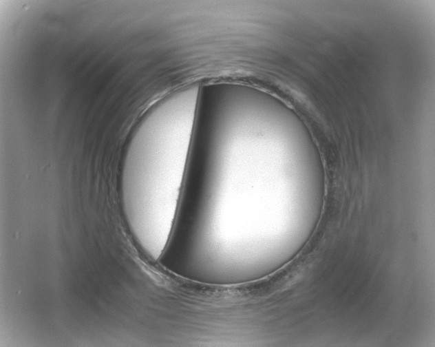 X0000066080881200603100934