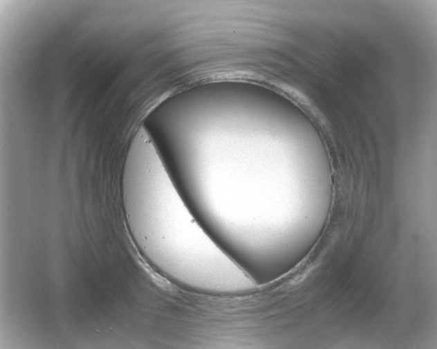 X0000066080897200603100934