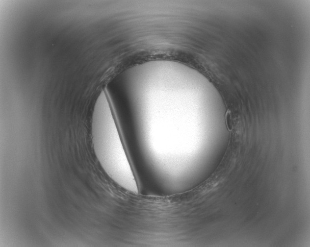 X0000066080916200603100933