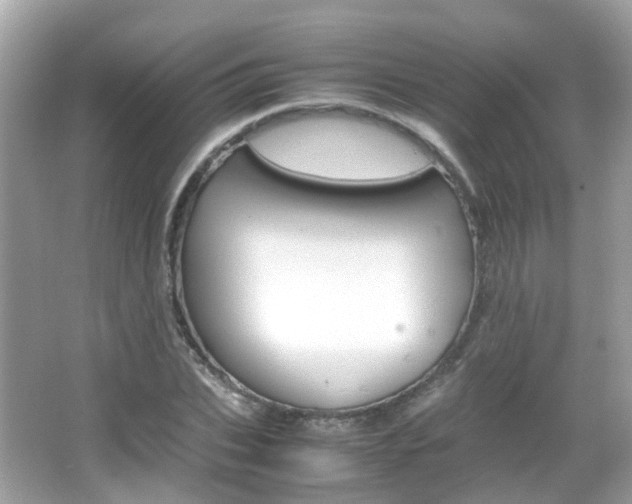 X0000066080927200603100933