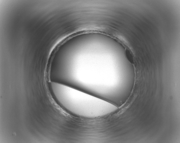 X0000066080928200603100933