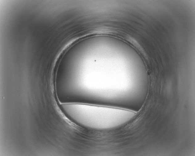 X0000066080939200603100933