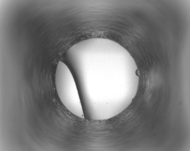 X0000066080962200603100933