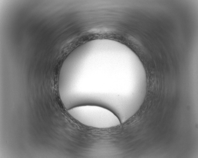 X0000066080966200603100933