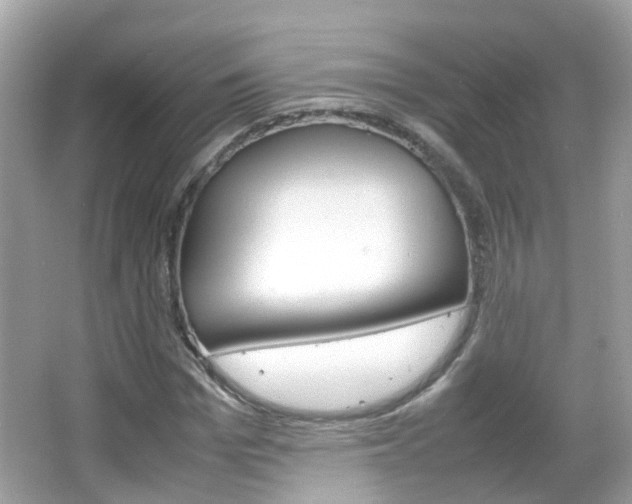 X0000066080969200603100933