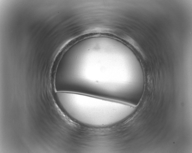 X0000066080972200603100933