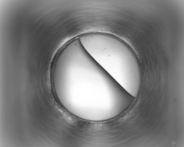 X0000066080982200603100933