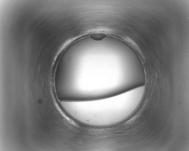 X0000066080989200603100933