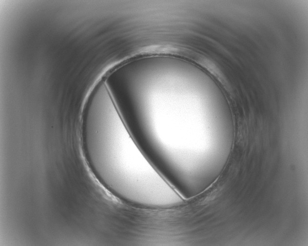 X0000066080992200603100933