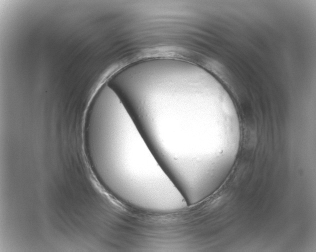 X0000066080994200603100932