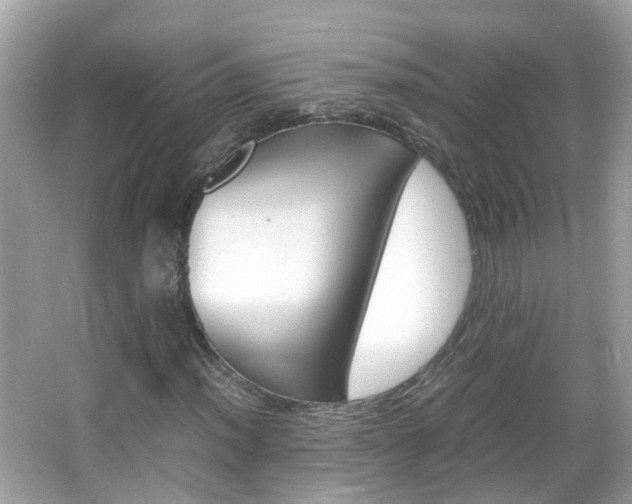X0000066081012200603100931