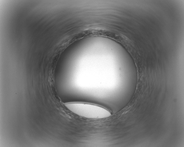 X0000066081014200603100931