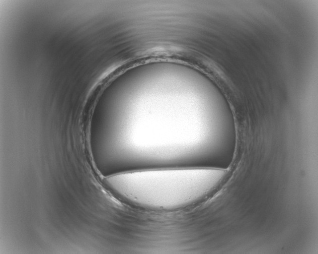X0000066081018200603100932