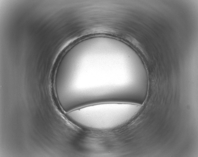 X0000066081024200603100932
