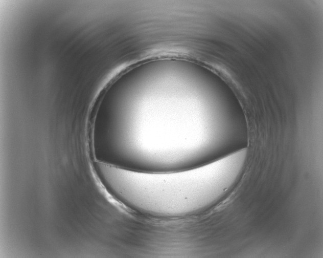 X0000066081038200603100932