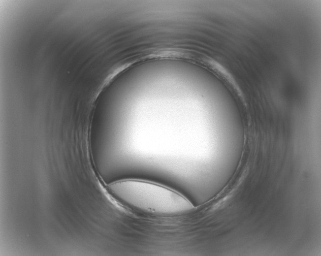 X0000066081041200603100932