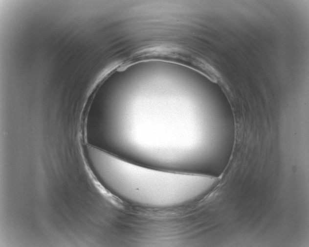 X0000066081042200603100932
