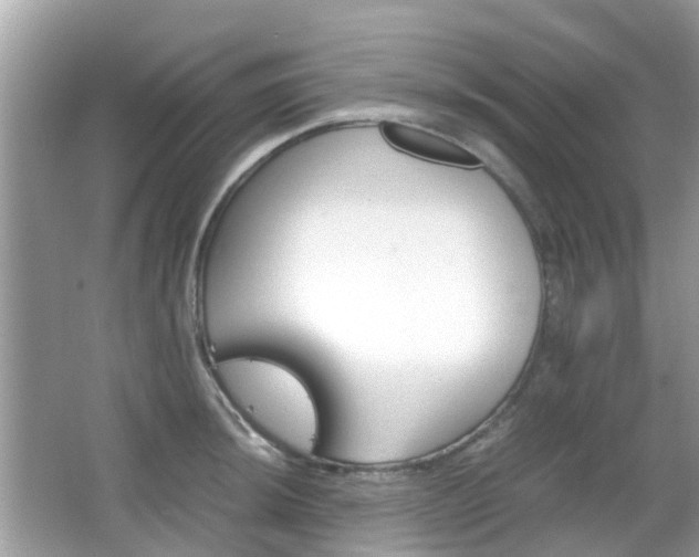 X0000066081044200603100932