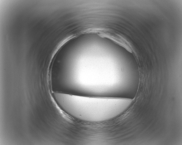 X0000066081050200603100932