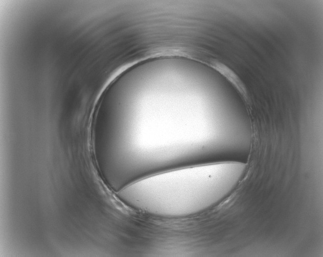 X0000066081052200603100932