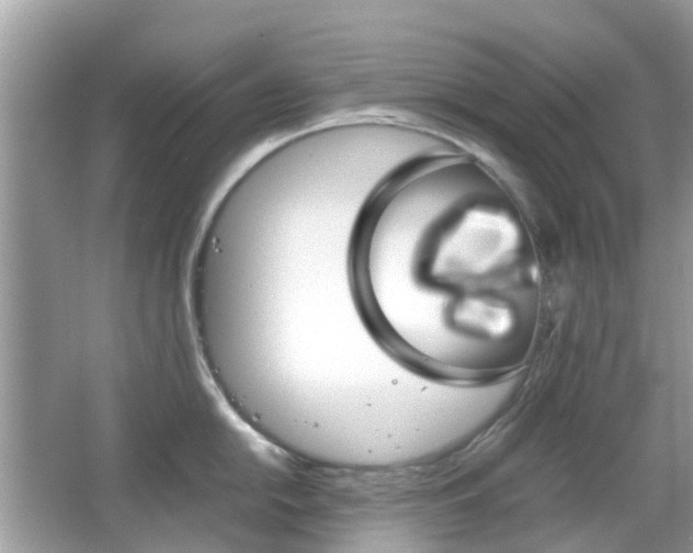 X0000066081054200603100932