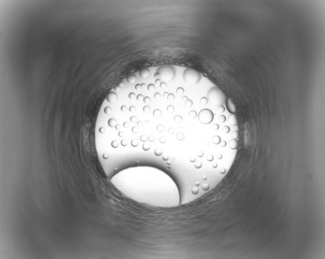 X0000066081059200603100931