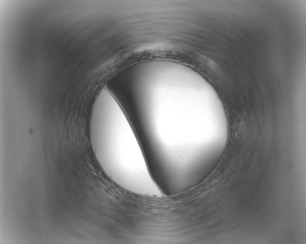 X0000066081062200603100931