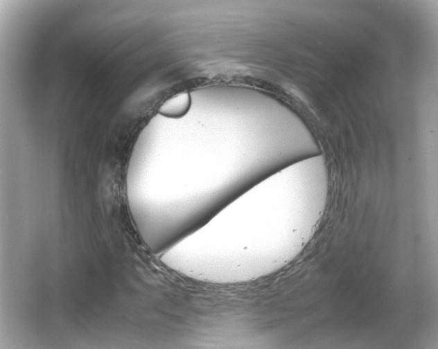 X0000066081063200603100931