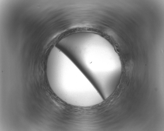 X0000066081064200603100931