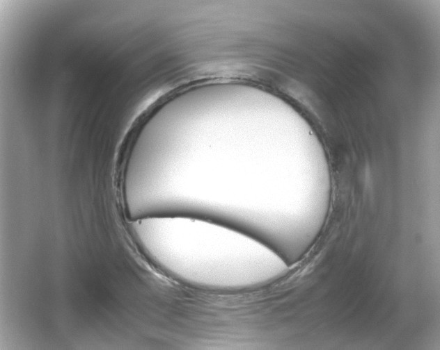 X0000066081071200603100931