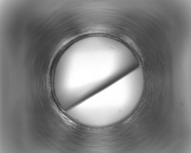 X0000066081072200603100931