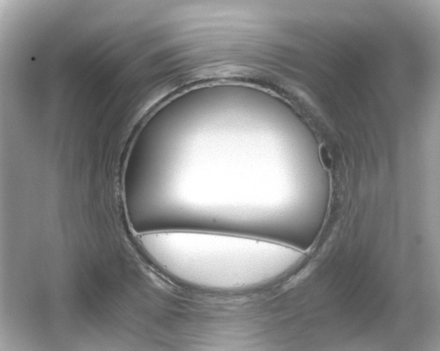 X0000066081073200603100931