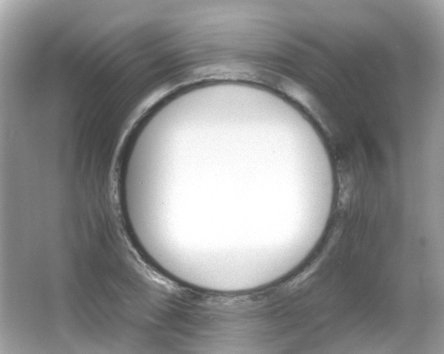 X0000066081074200603100931
