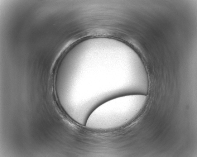 X0000066081075200603100931