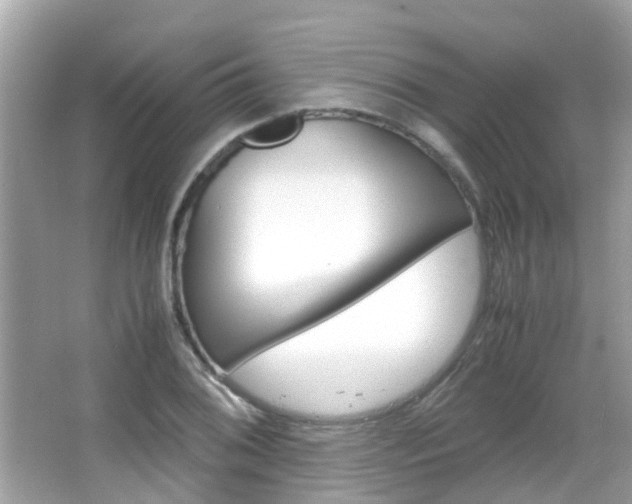 X0000066081076200603100931