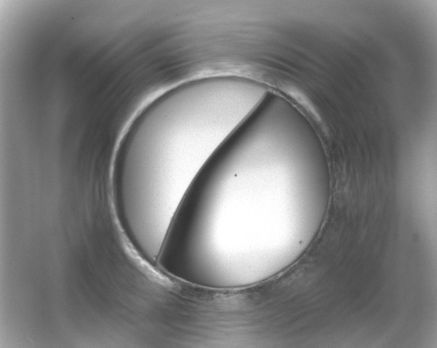 X0000066081080200603100931