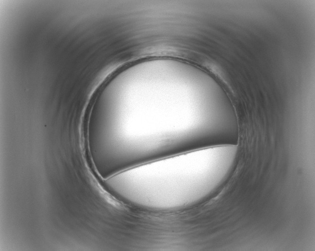 X0000066081082200603100931