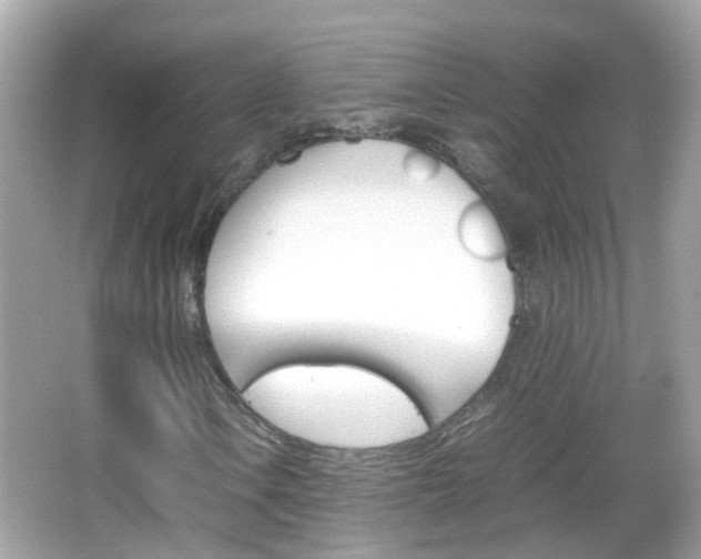 X0000066081106200603100930
