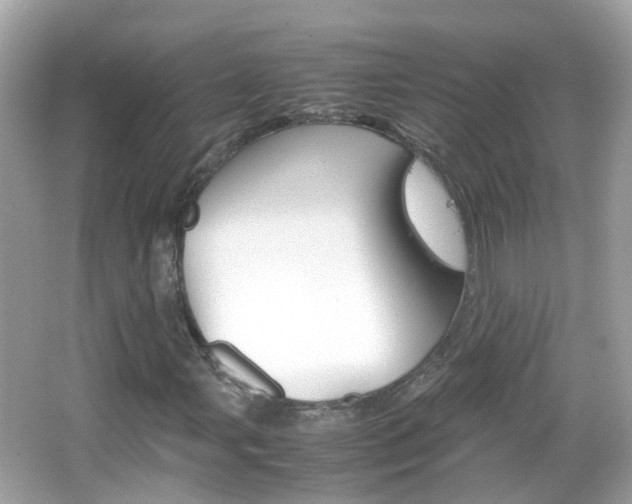X0000066081107200603100930