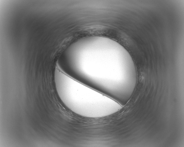 X0000066081108200603100930