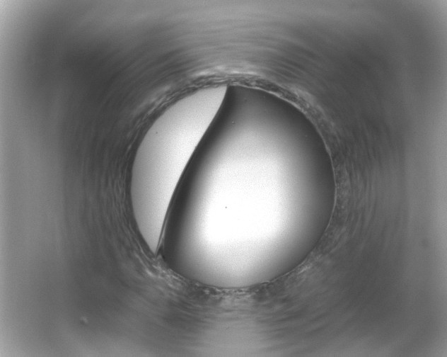 X0000066081110200603100930