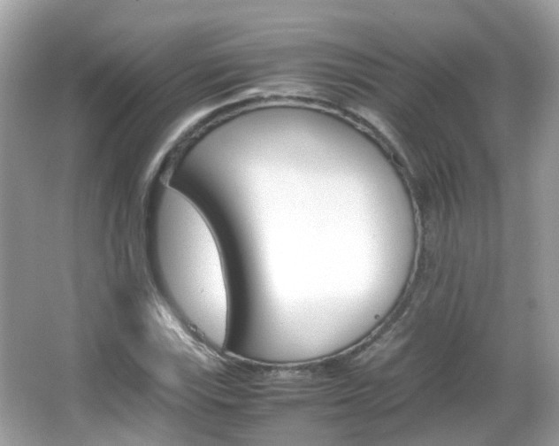 X0000066081115200603100930